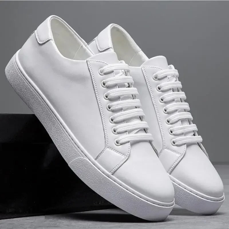 Franco | Zapatilla de Hombre