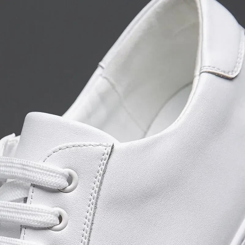 Franco | Zapatilla de Hombre